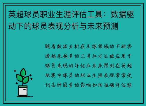 英超球员职业生涯评估工具：数据驱动下的球员表现分析与未来预测